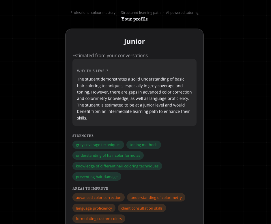 Verifiziertes Profilbild — Junior-Niveau, mit der KI-Erklärung, Stärkentags (Techniken zur Grauabdeckung, Tönungsmethoden, Haarfarbformeln, Haarfärbetechniken, Vermeidung von Haarschäden) und Verbesserungsbereichen (fortgeschrittene Farbkorrektur, Farbtheorie, Sprachkenntnisse, Kundenberatungskompetenzen, individuelle Farbformulierung).